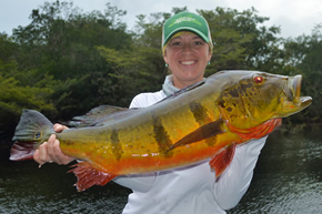 Brazil Amazon Peacock Bass Fishing - River Plate Anglers