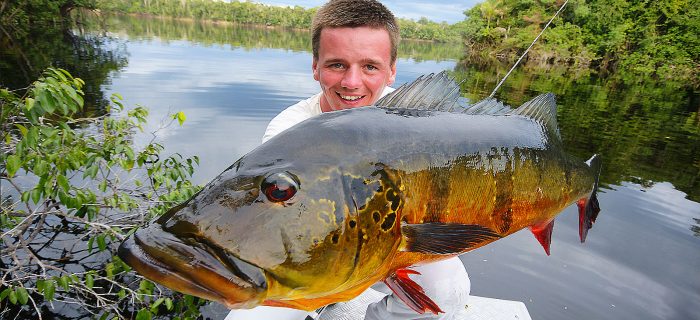 Amazon Peacock Bass Fishing - River Plate Anglers