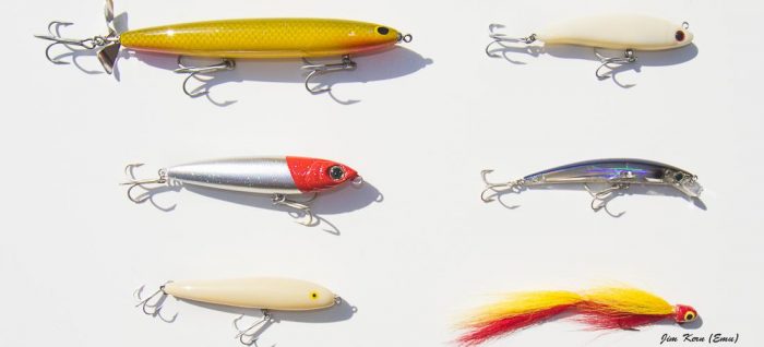 My Favorite Peacock Bass Fishing Lures - River Plate Anglers